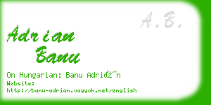 adrian banu business card